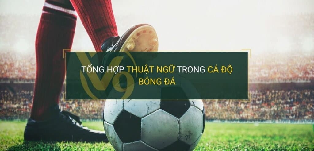 1001 các thuật ngữ cá độ bóng đá chuẩn nhất - Aufop